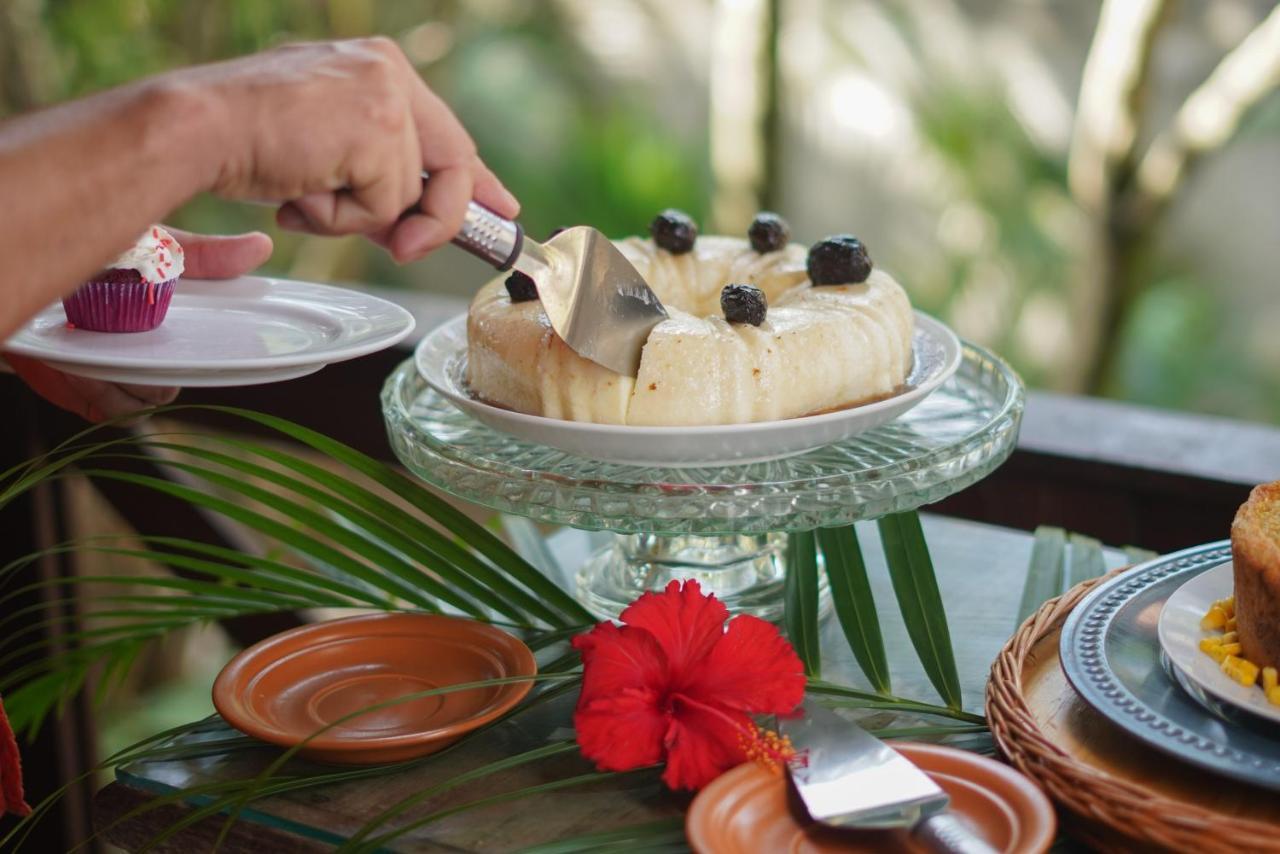 Thalassagarden Hotel - Pousada Praia de Pipa 外观 照片